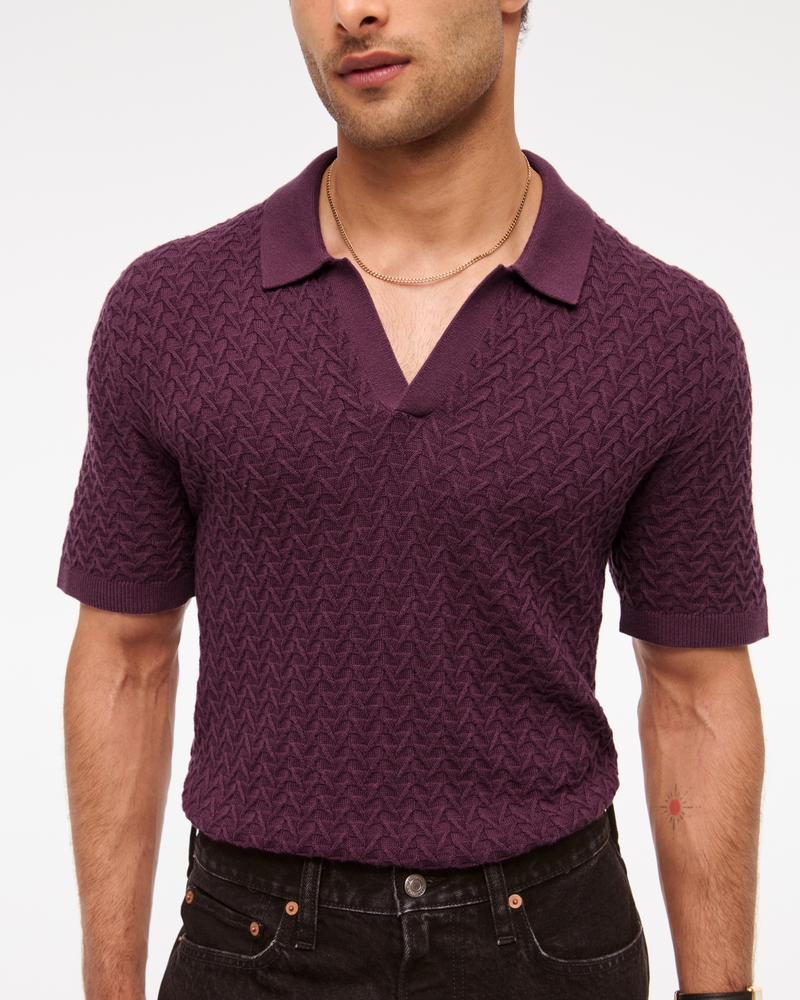 Pima Cotton Johnny Collar Sweater Polo(eggplant,XS)