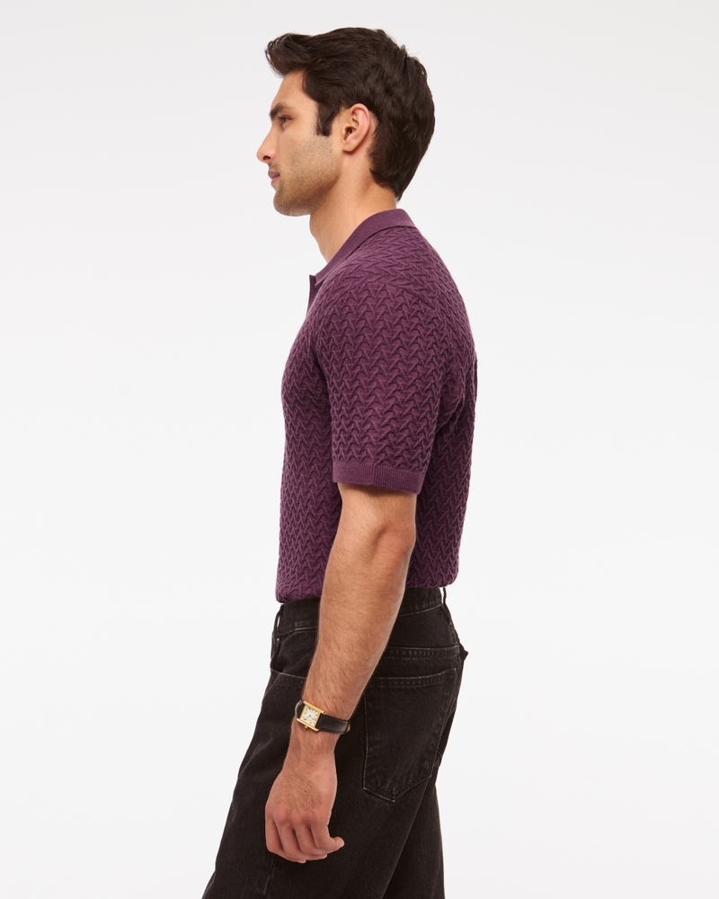 Pima Cotton Johnny Collar Sweater Polo(eggplant,XS)