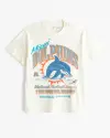 cream - dolphins