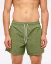 green stripe